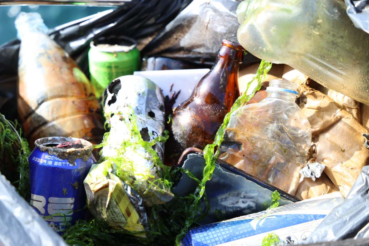 Kadın Azmağı’nda Dip Temizliği: 80 Kilodan Fazla Atık Ekosistemden Uzaklaştırıldı 4